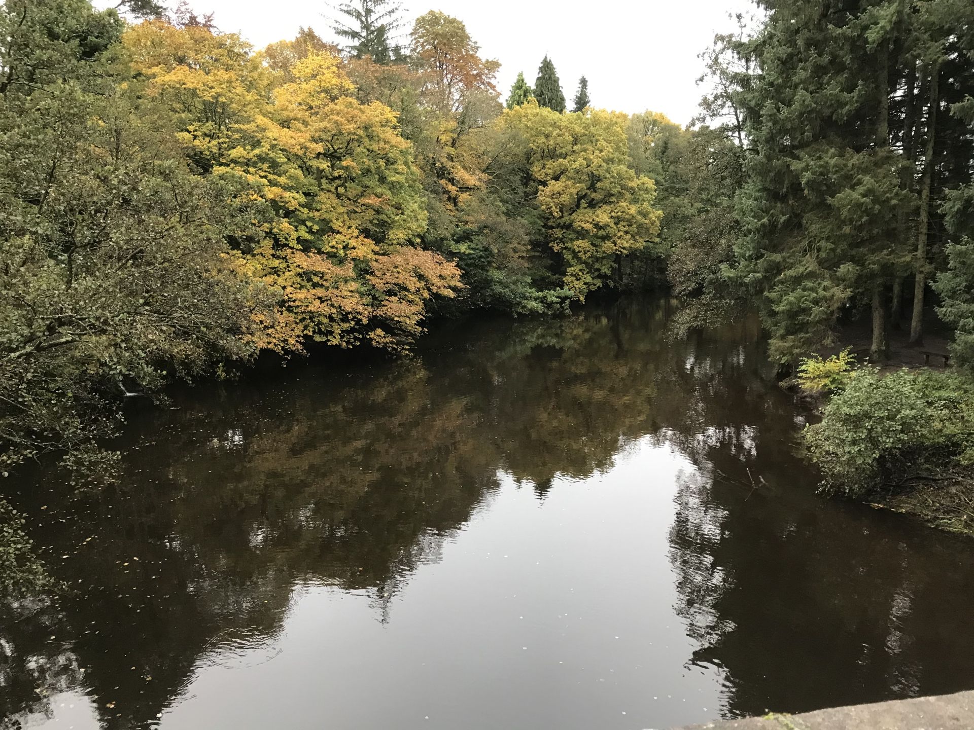 Derwent near Froggatt